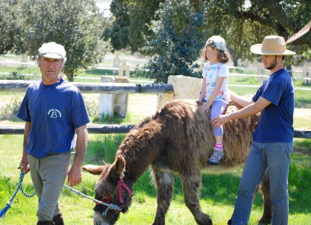 Paseando a la peque en burro